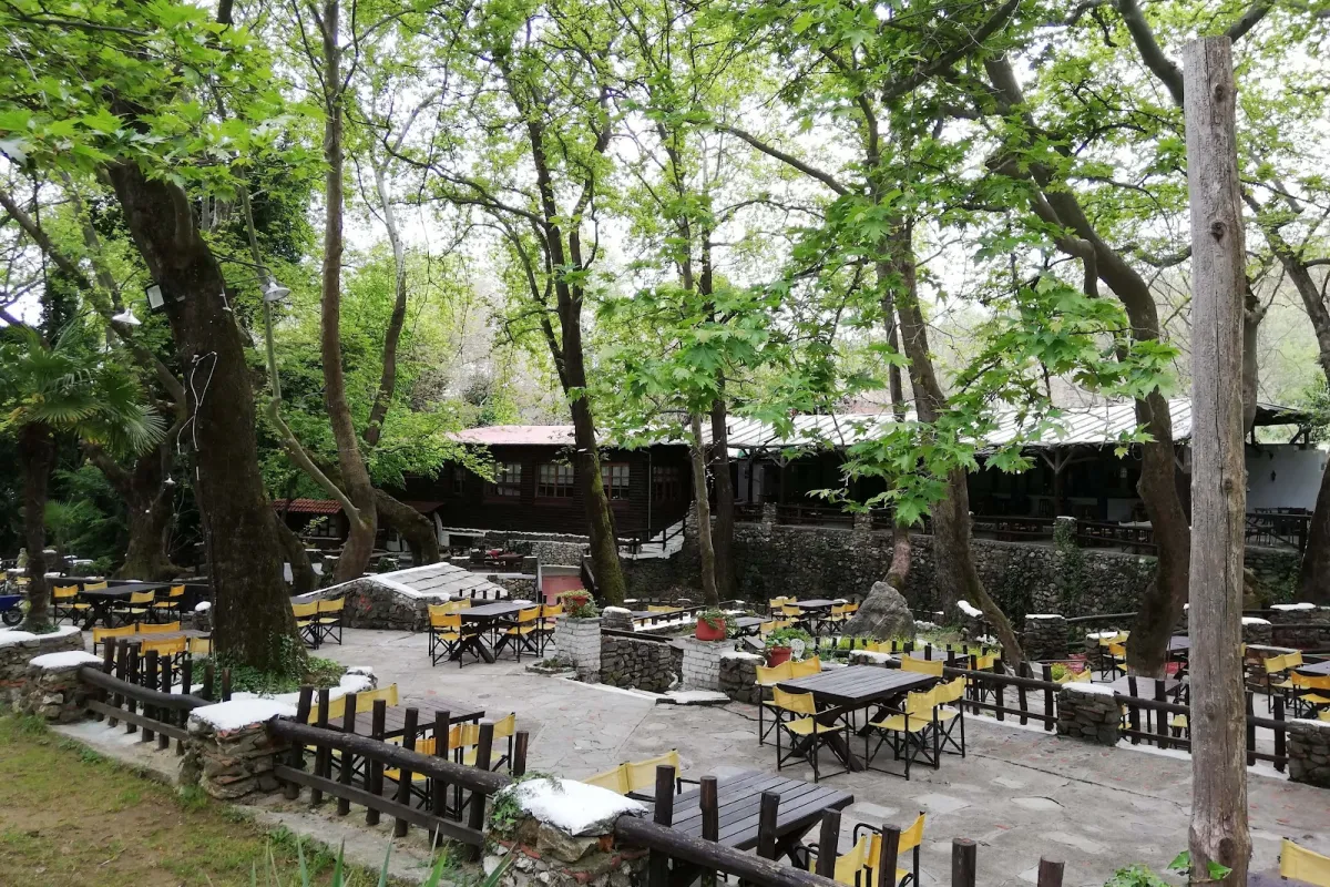 Όαση Ταβέρνα photo 1