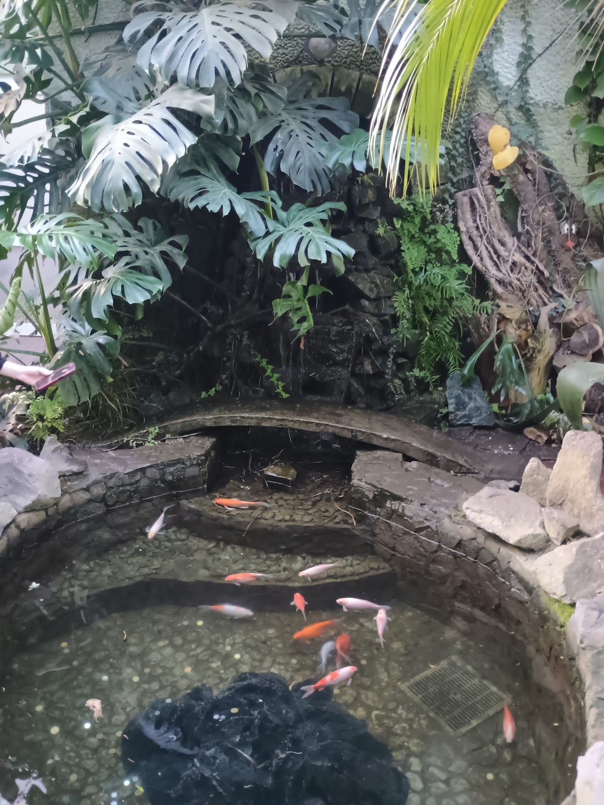 Stryiskyi Park photo 3