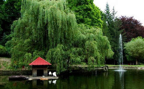 Stryiskyi Park photo 2