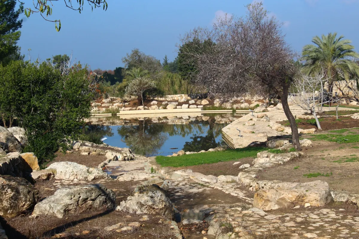 Ayalon Canada Park photo 1
