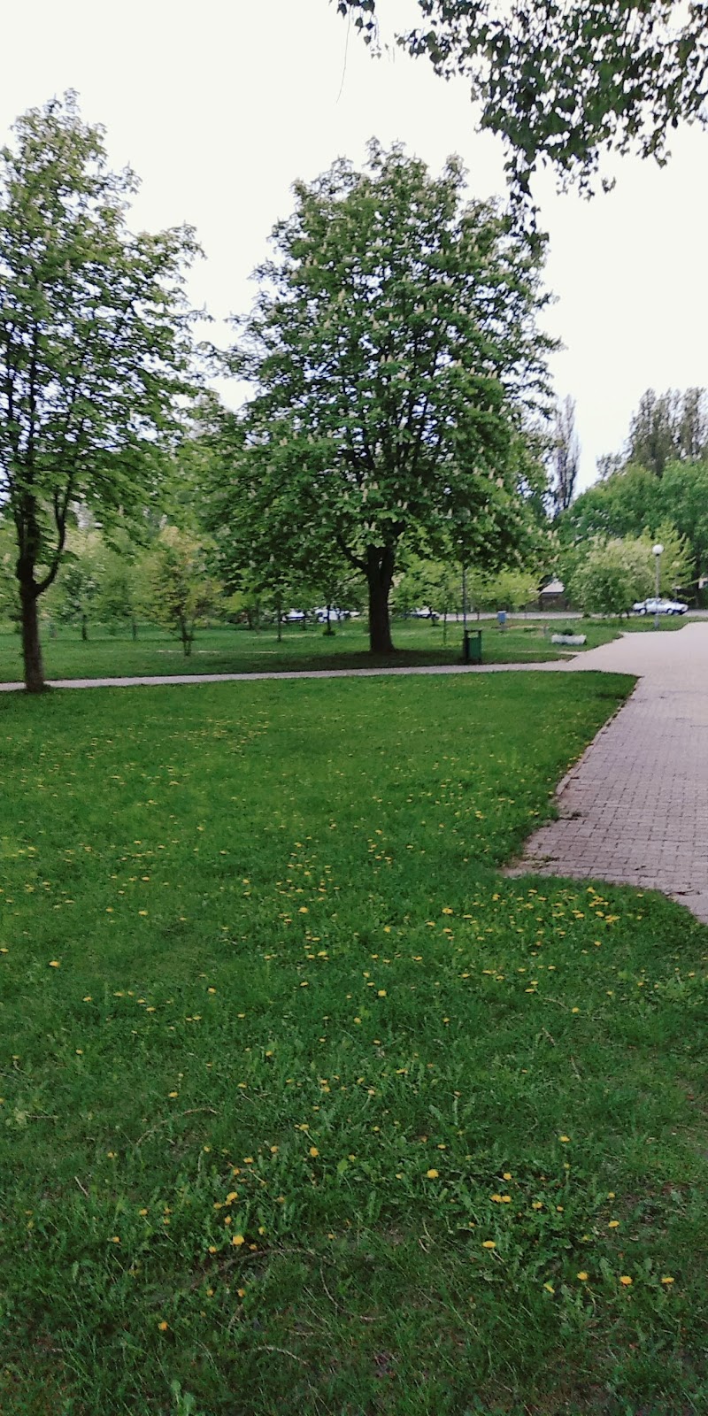 Ресторан и караоке ЖЕМЧУГ photo 3
