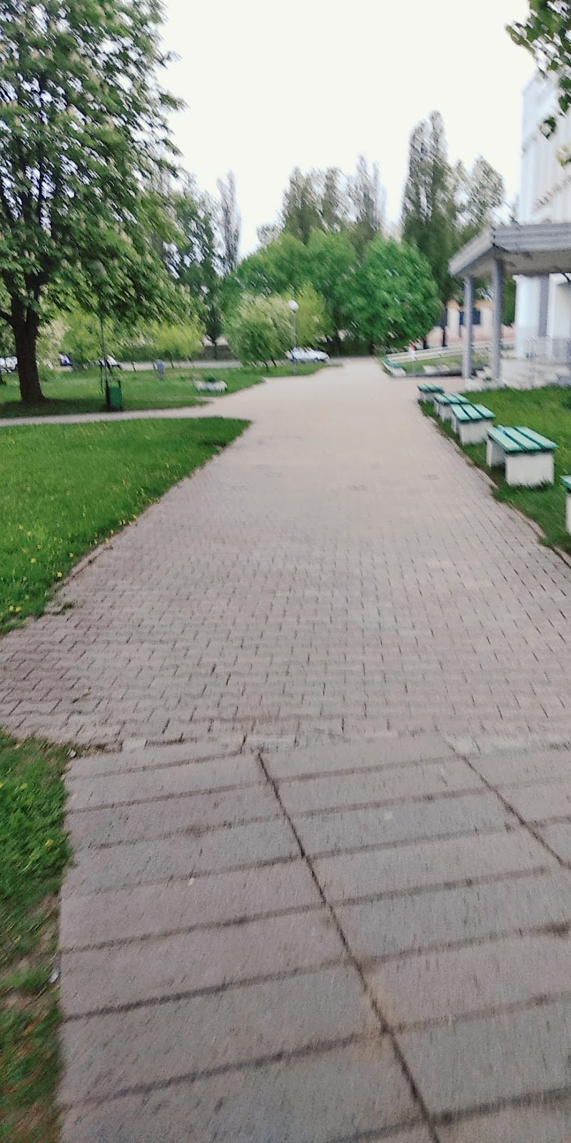 Ресторан и караоке ЖЕМЧУГ photo 5