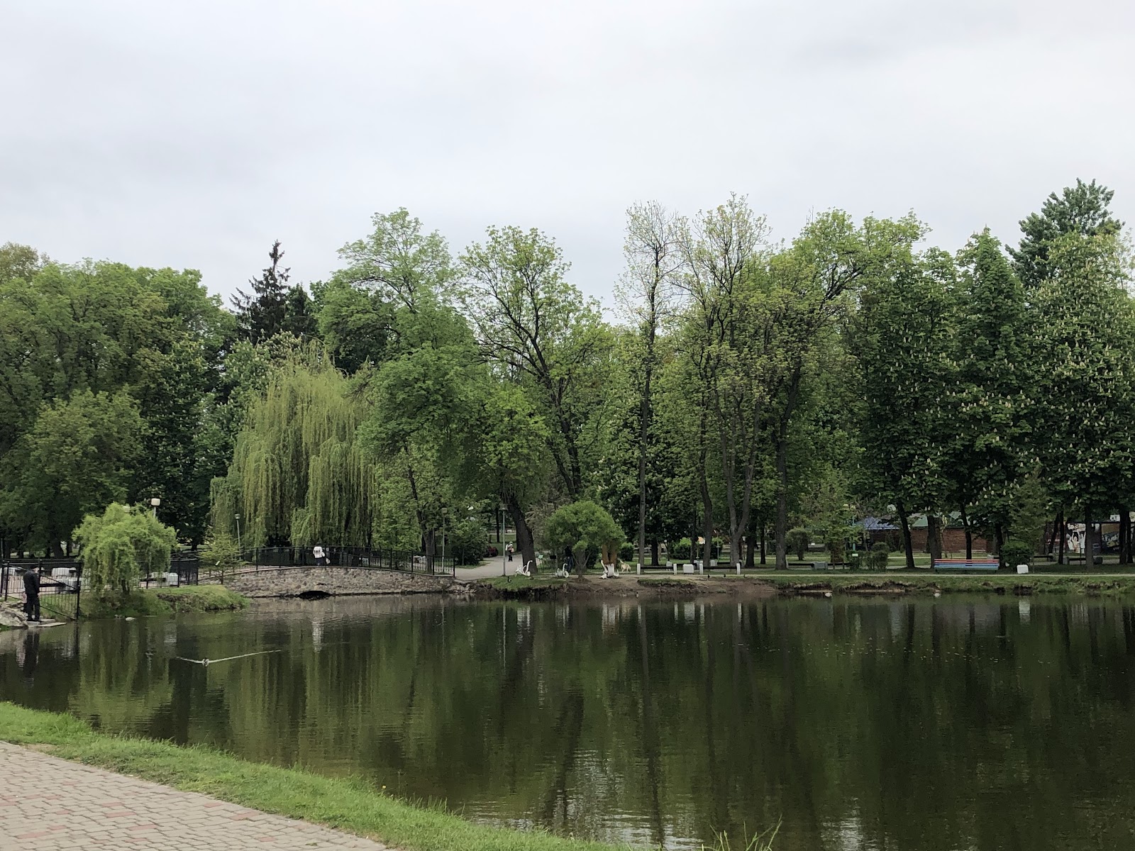 Парк культуры і адпачынку photo 9