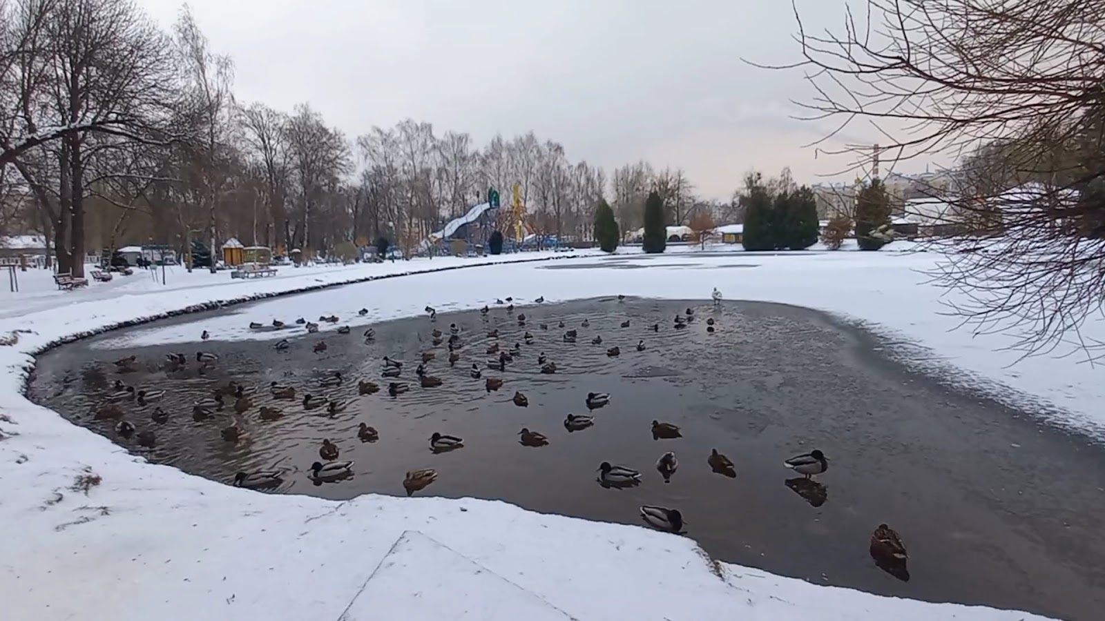 Парк культуры і адпачынку photo 2