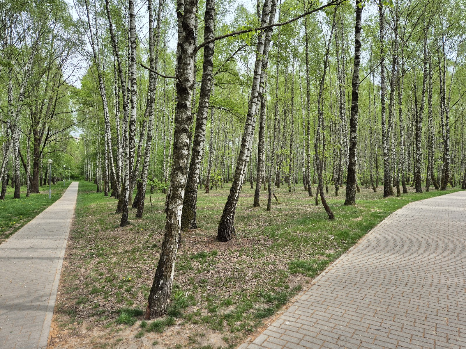 Парк воінаў-інтэрнацыяналістаў photo 3