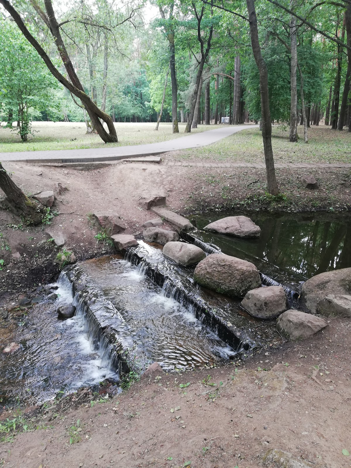 Drozdy photo 10