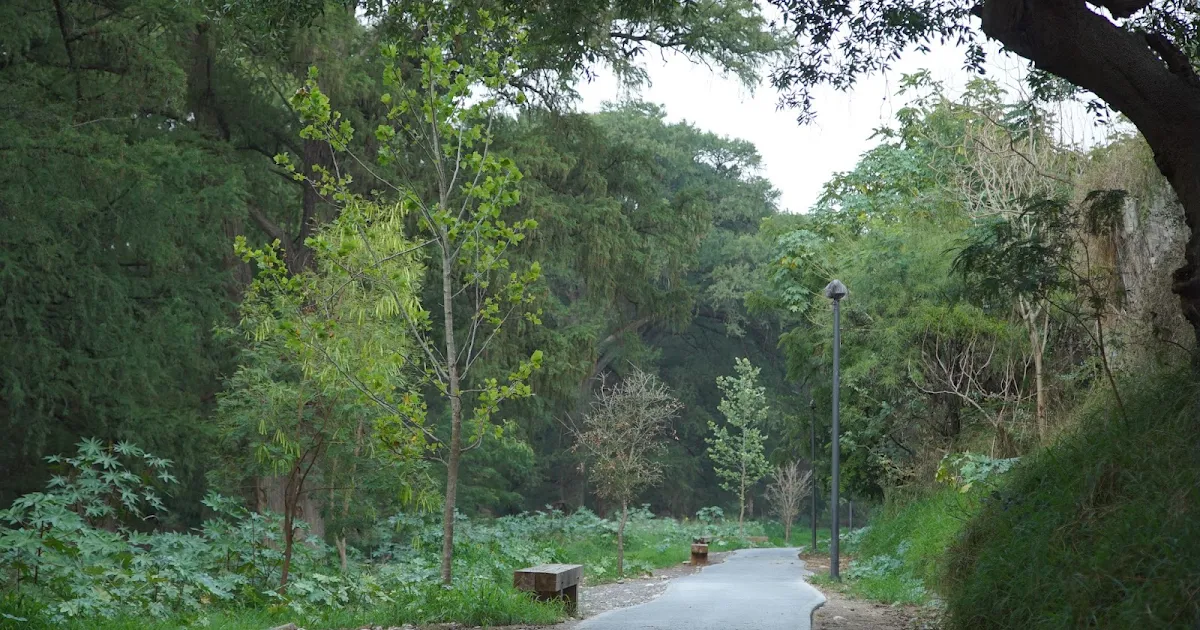 Paseo Río la Silla - Parque Tolteca photo 1