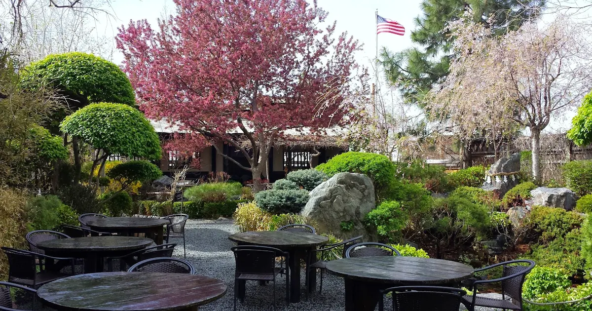 Domo Japanese Country Food Restaurant photo 1