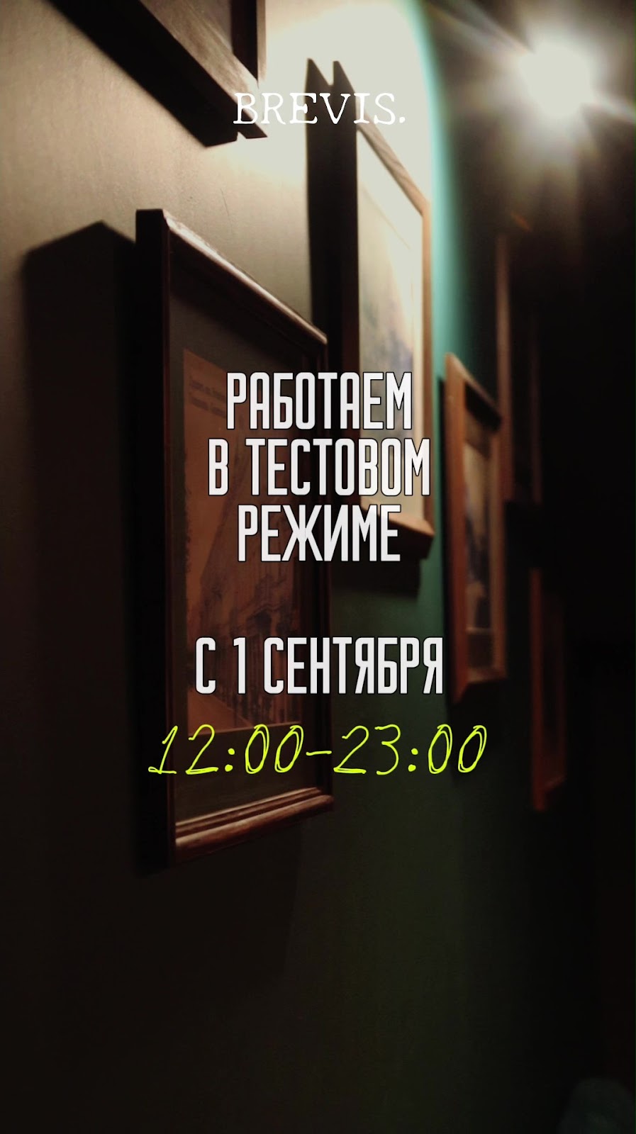 Бревис photo 3