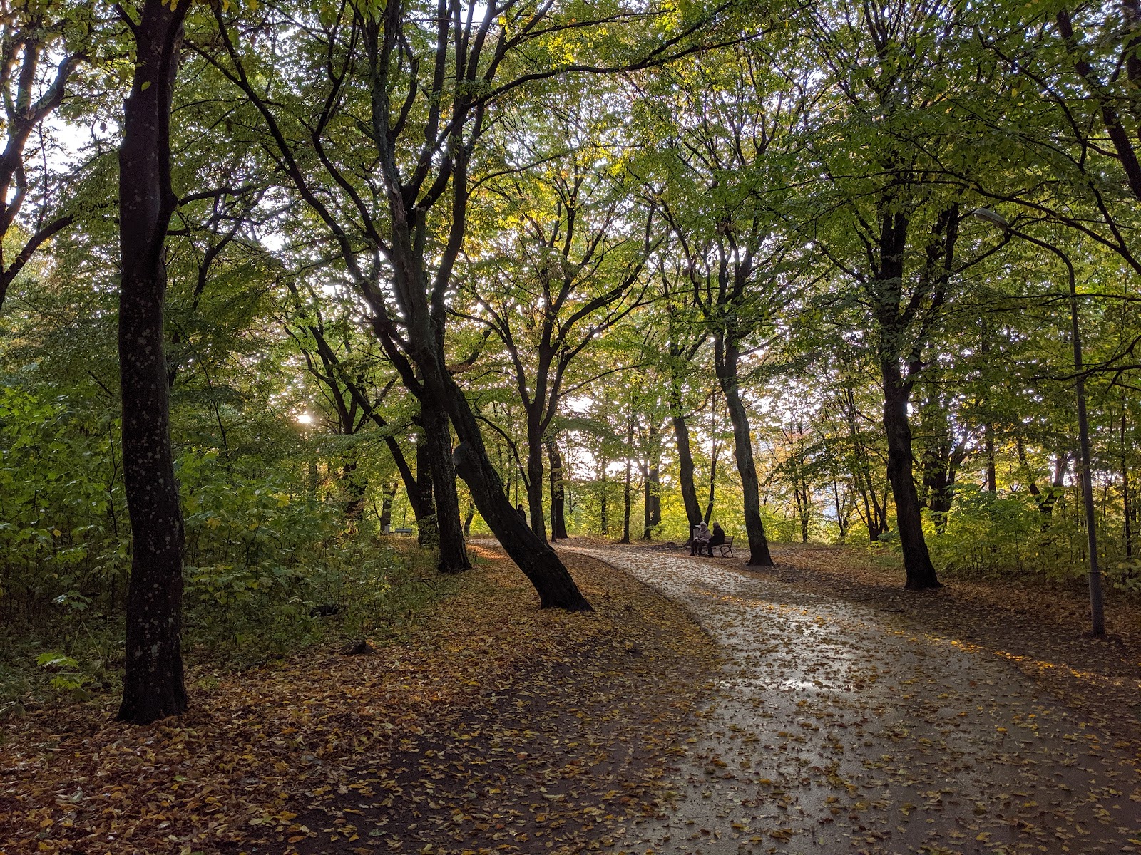 Swiss Valley photo 9
