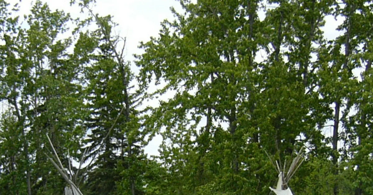 Historic Fort Normandeau photo 1