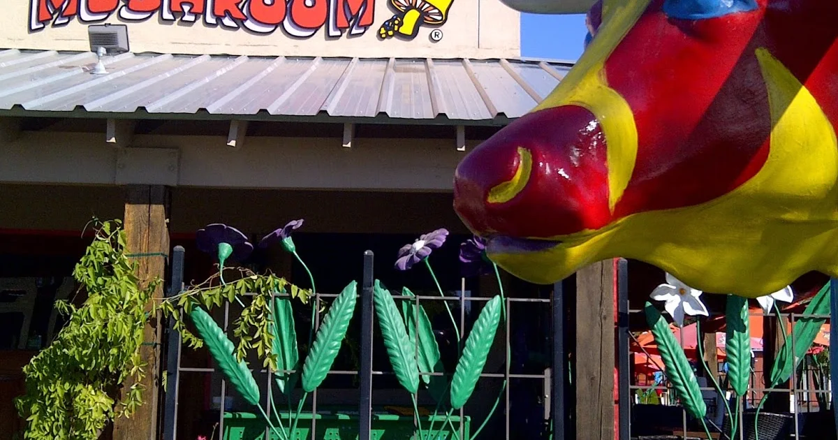 Mellow Mushroom Fort Worth photo 1