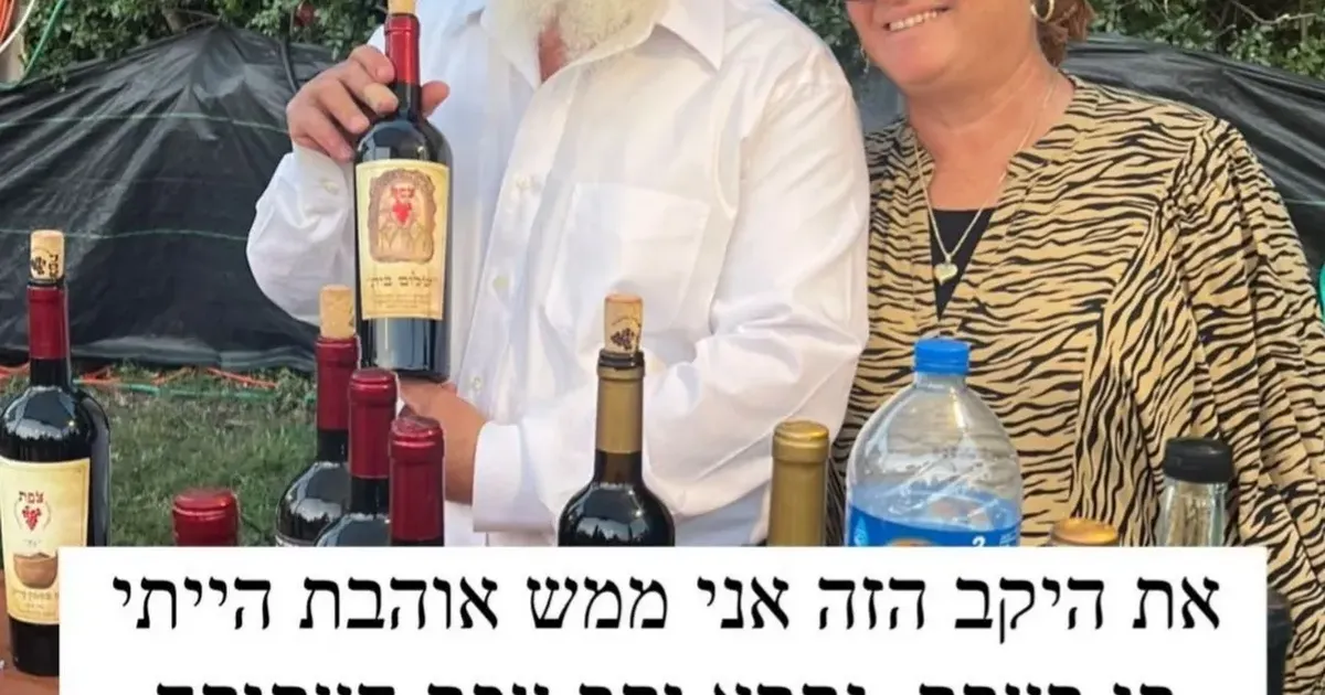 Winery safed photo 1