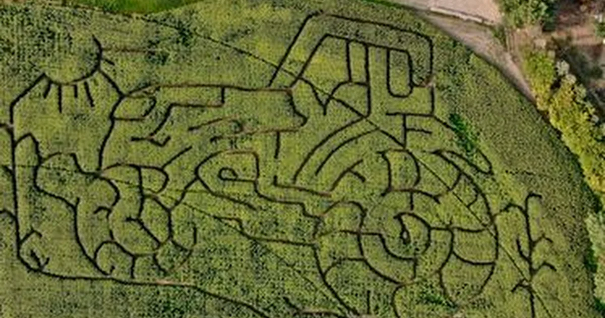 Brooks Corn Maze photo 1