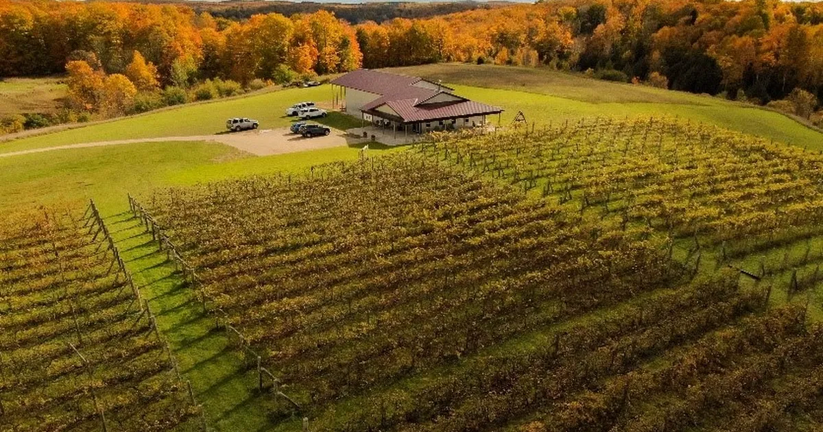 Spare Key Winery photo 1