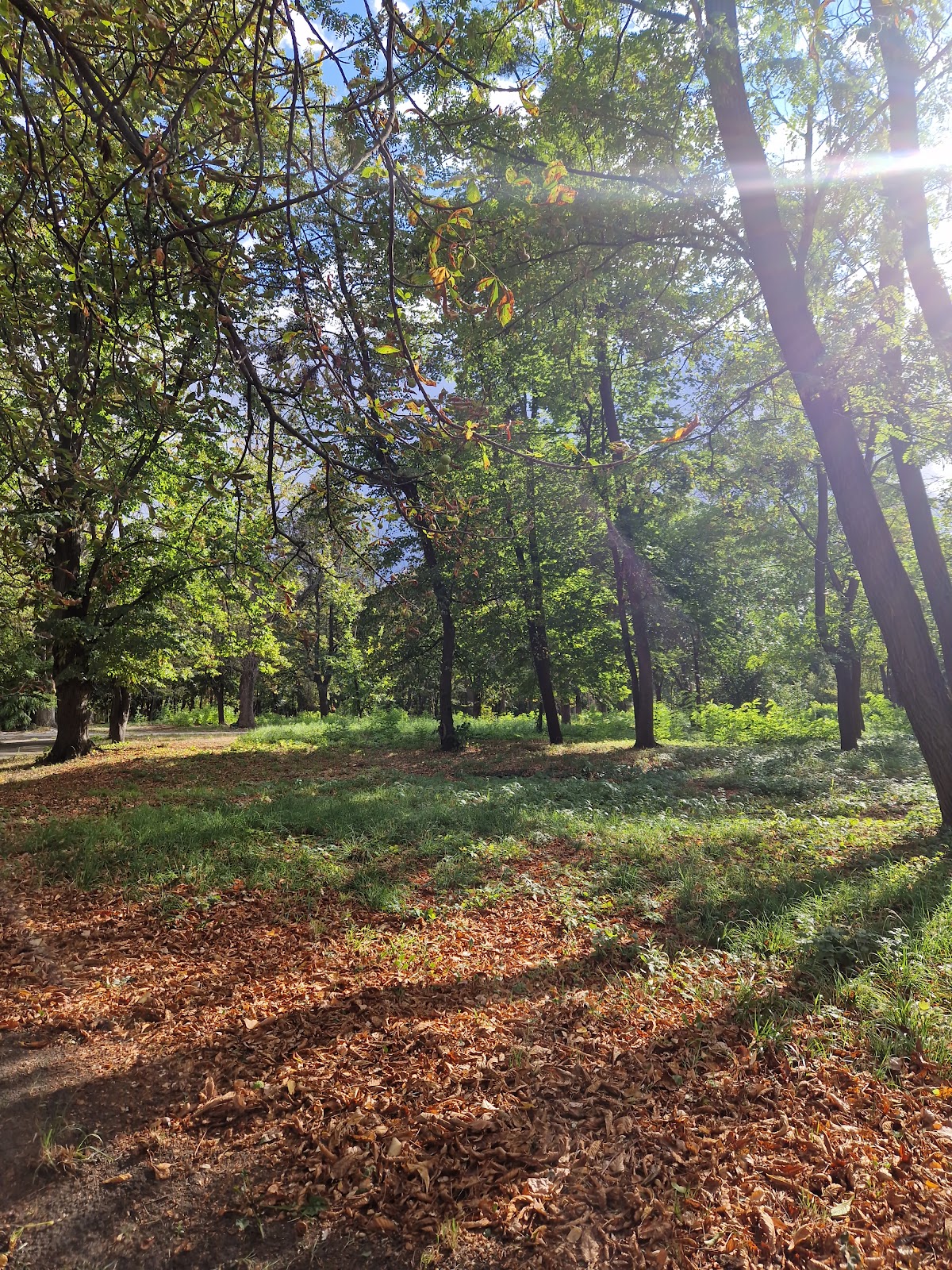 Mashynobudivnykiv Park photo 3