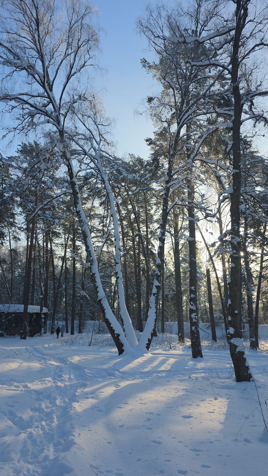 park Mazuryna photo 10