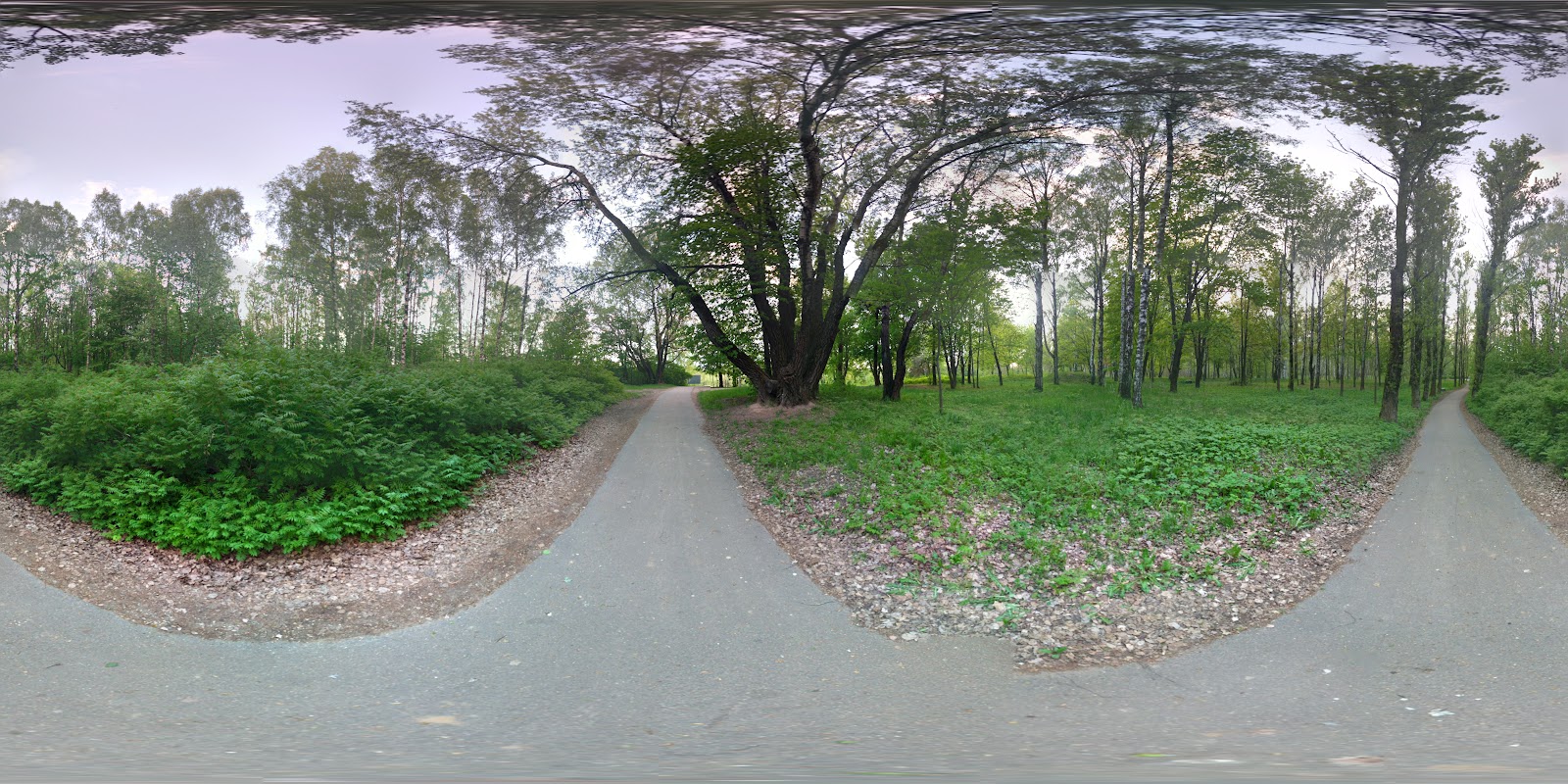 park Mazuryna photo 4