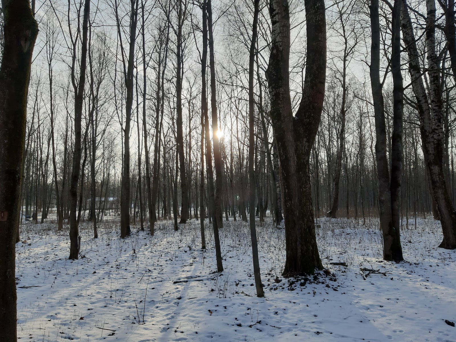 park Mazuryna photo 6