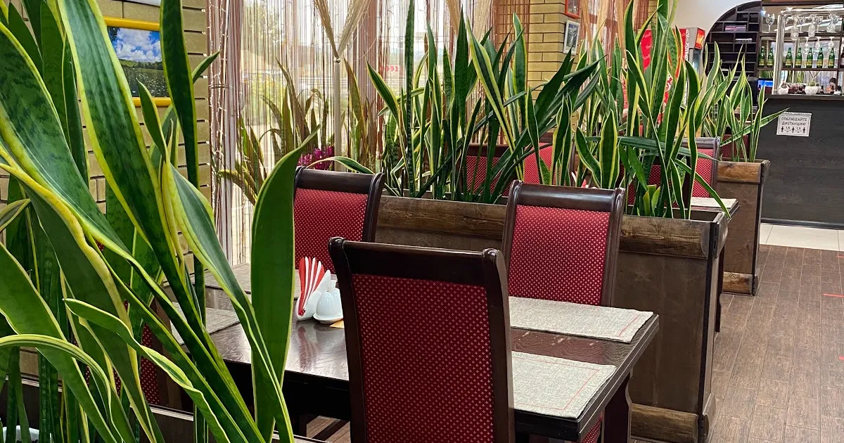 Restaurant RED HALL photo 1