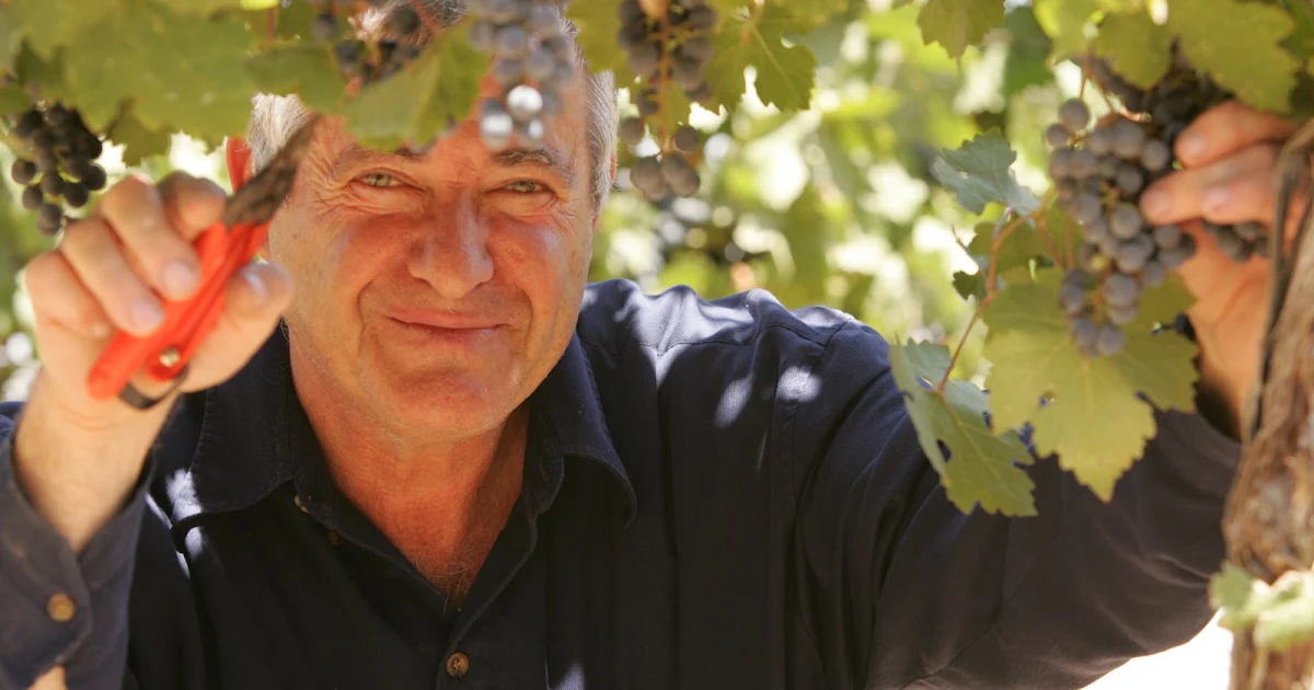 Gush Etzion Winery photo 1