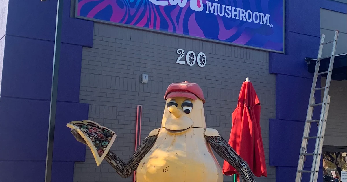 Mellow Mushroom Arlington photo 1