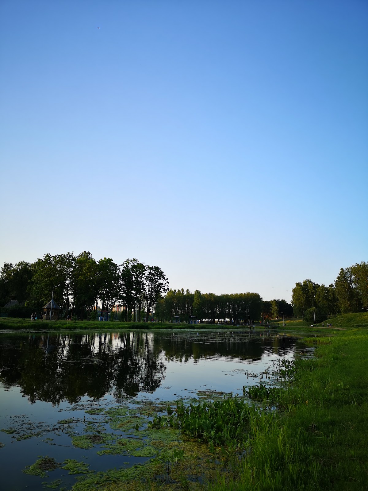 Park Imeni 40-Letiya Vlksm photo 8