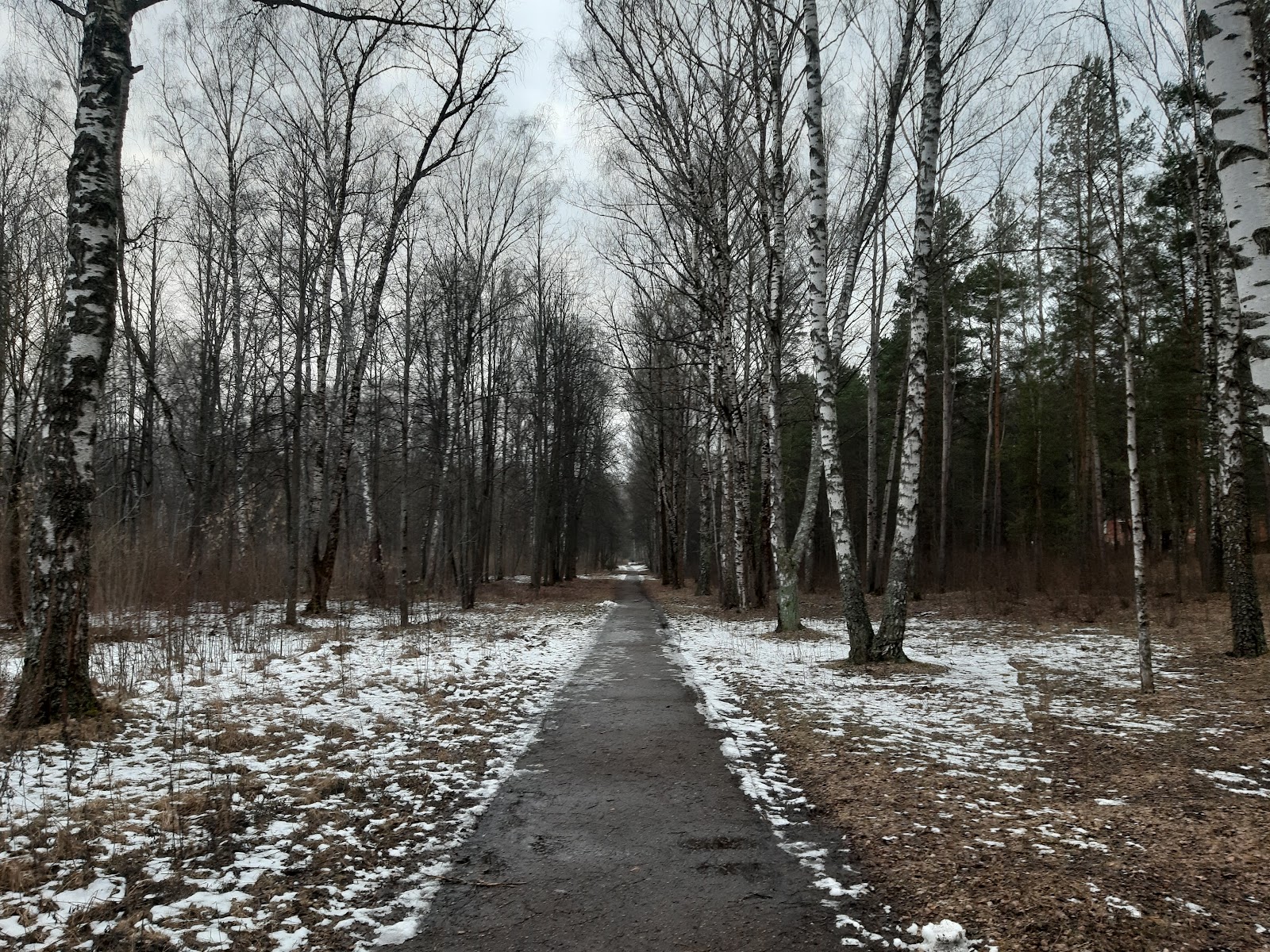 Park Imeni 40-Letiya Vlksm photo 10