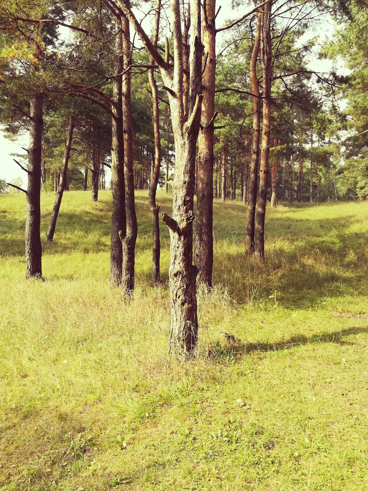 Юр’ева горка photo 5
