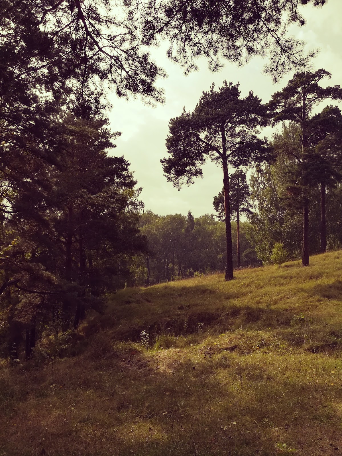 Юр’ева горка photo 4