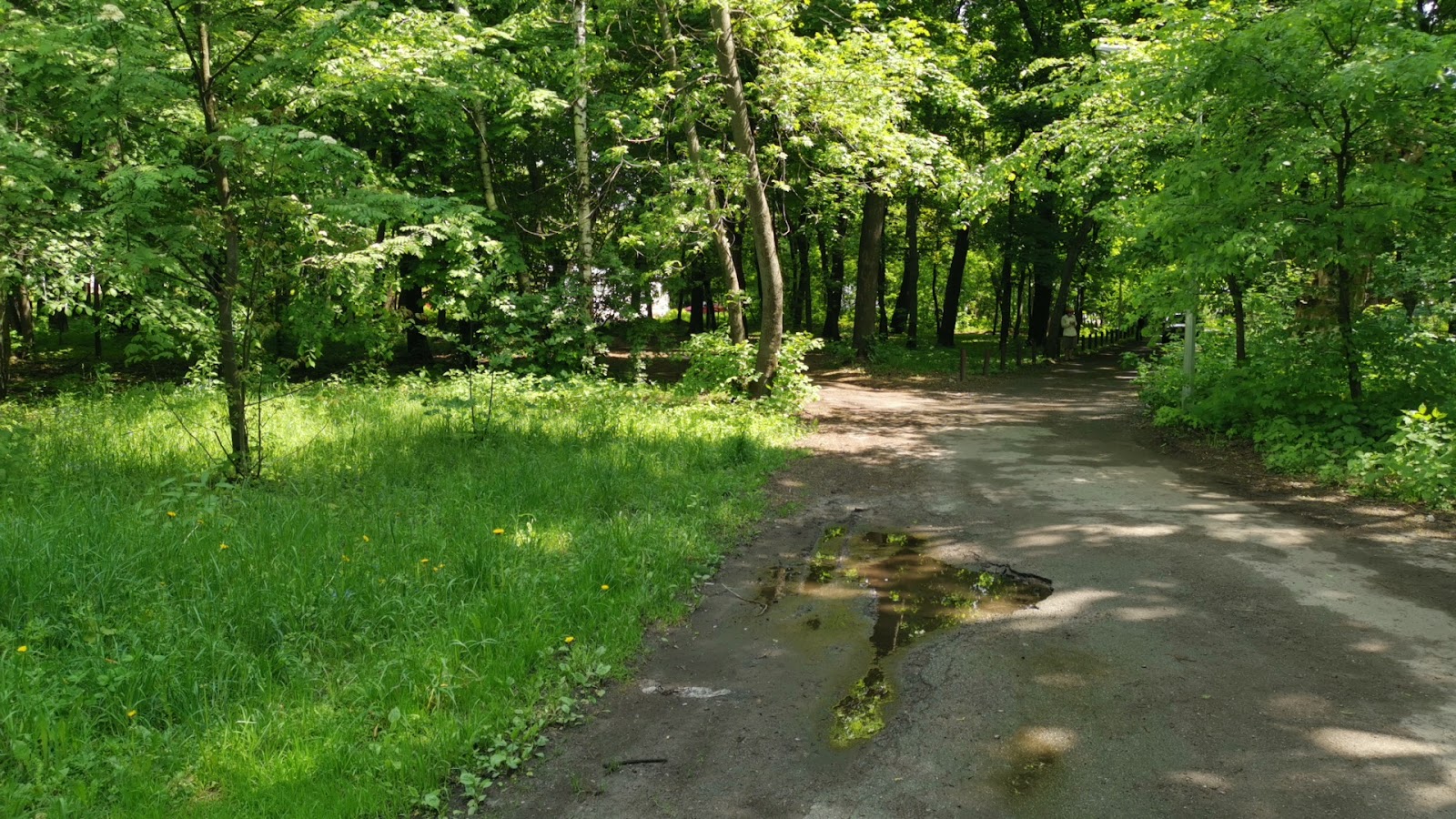 Park Imeni Ivana Bahryanoho photo 8