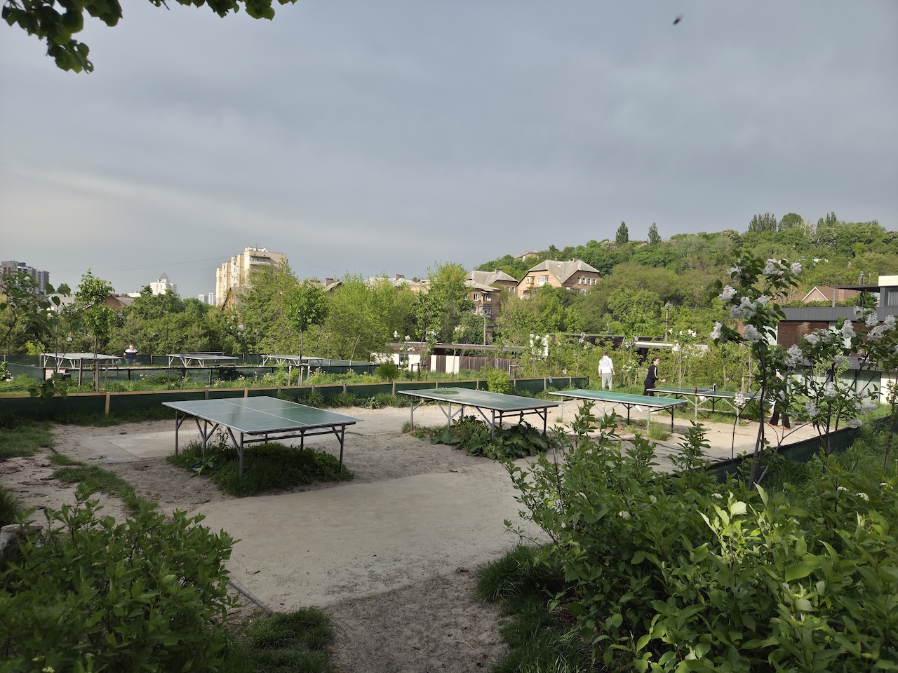 Solomianka Landscape Park photo 8