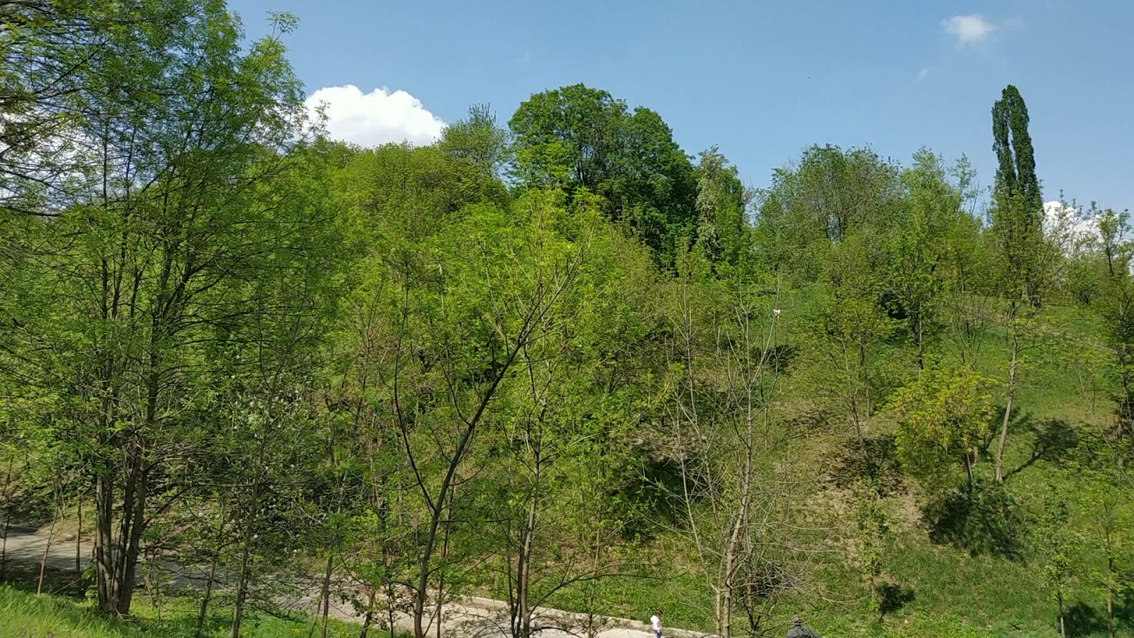 Solomianka Landscape Park photo 4