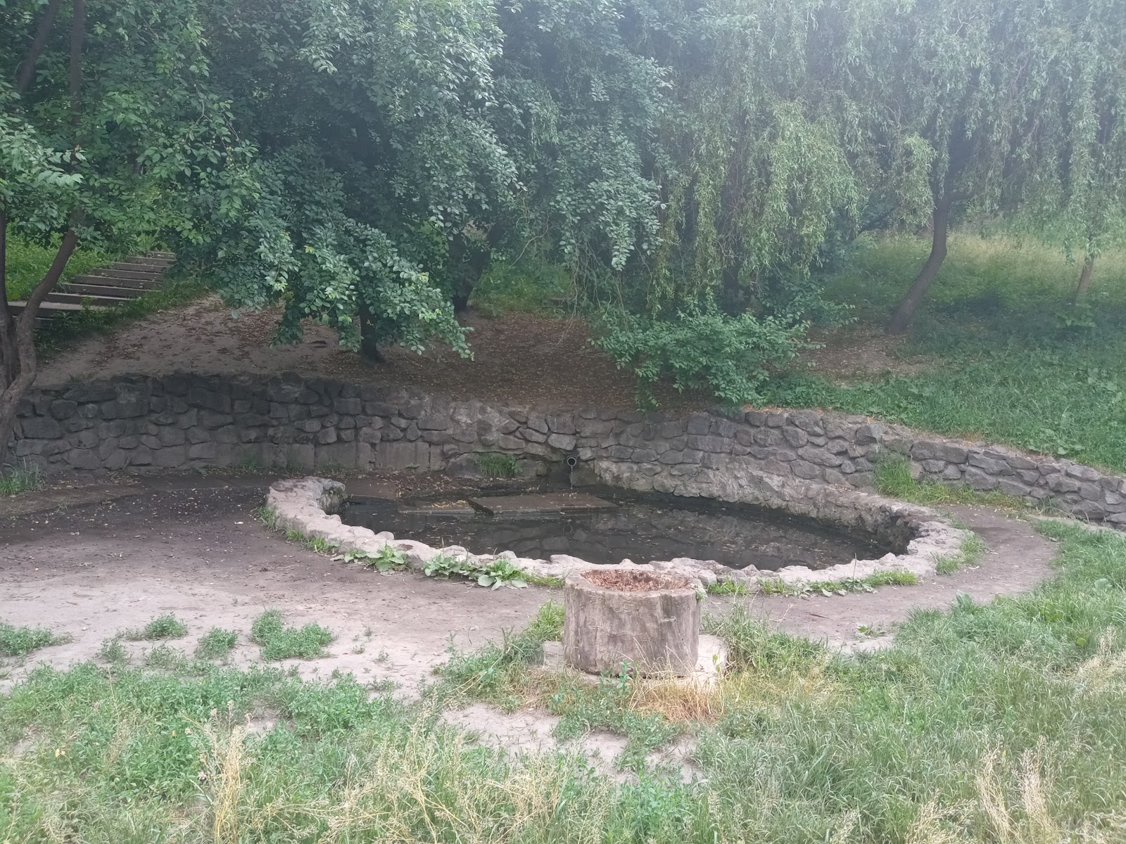 Solomianka Landscape Park photo 9