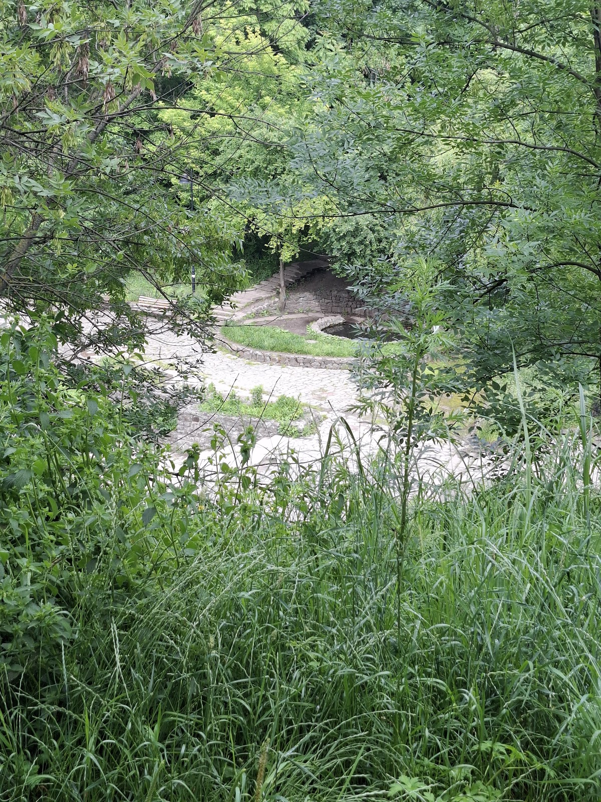 Solomianka Landscape Park photo 2
