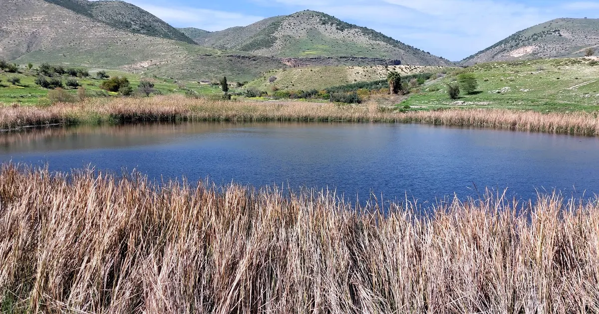 Al Arayes Lake photo 1