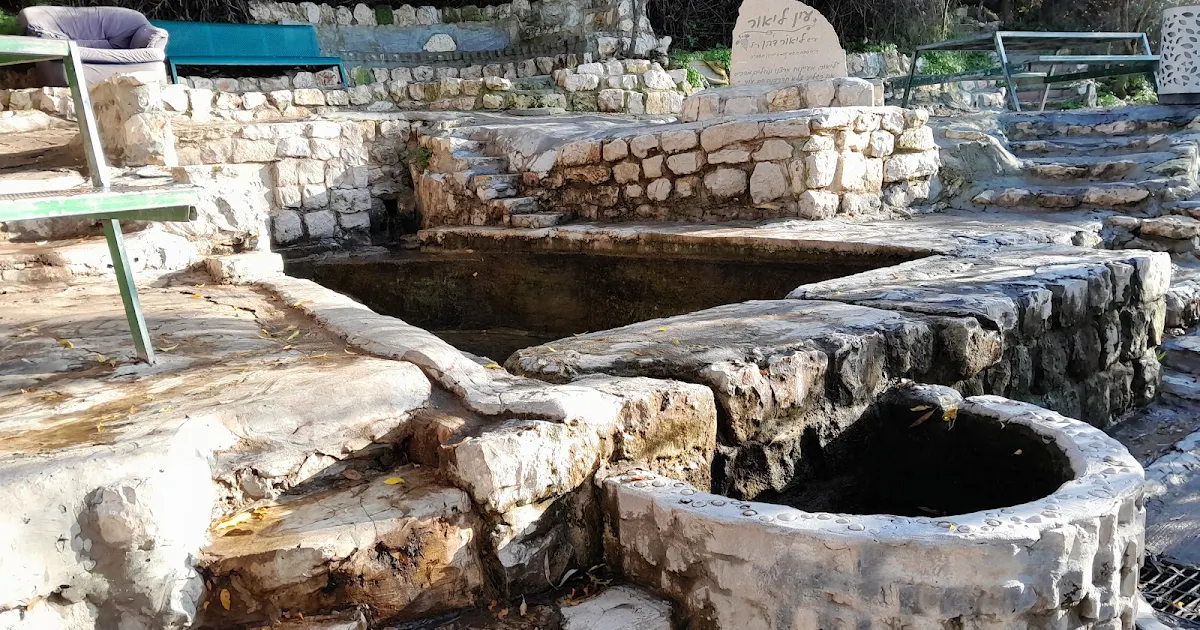 עין ליאור photo 1