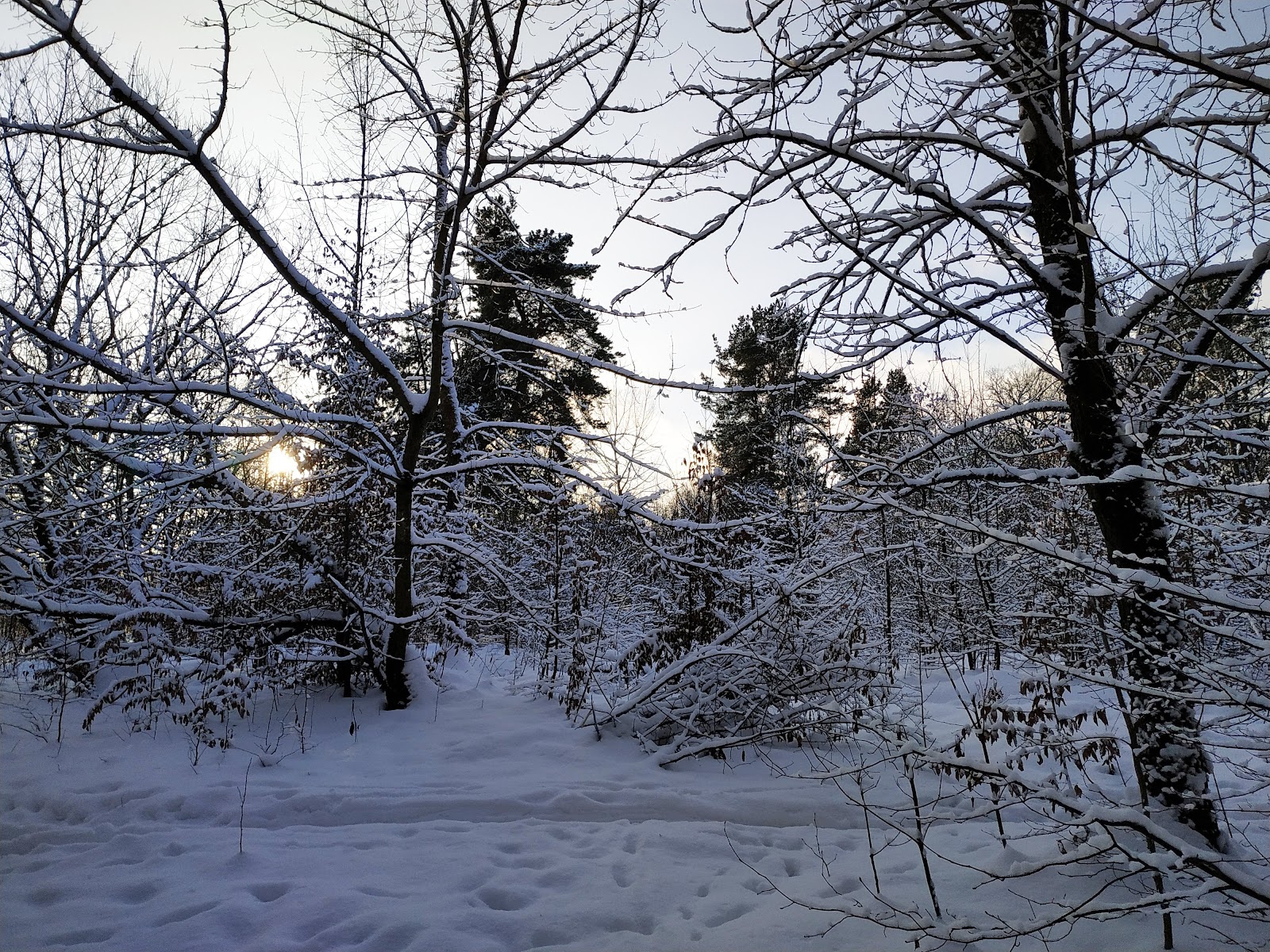 Румлёўскі Парк photo 5