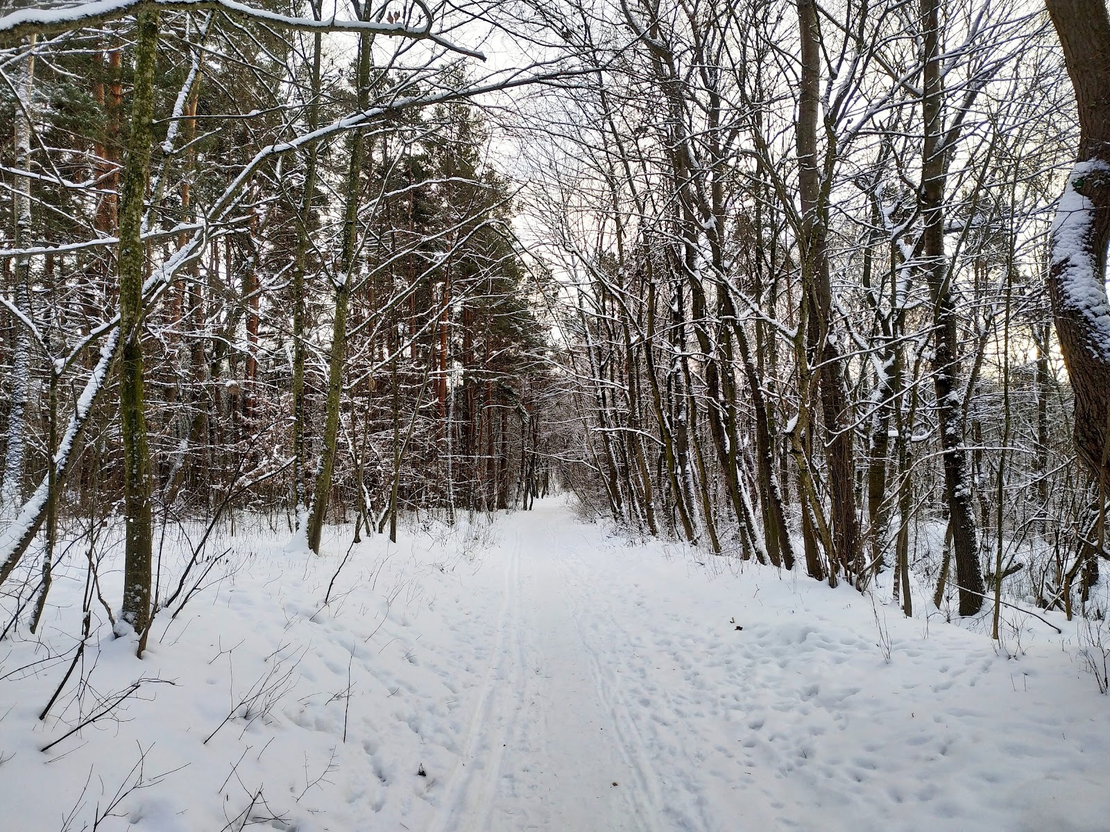 Румлёўскі Парк photo 4