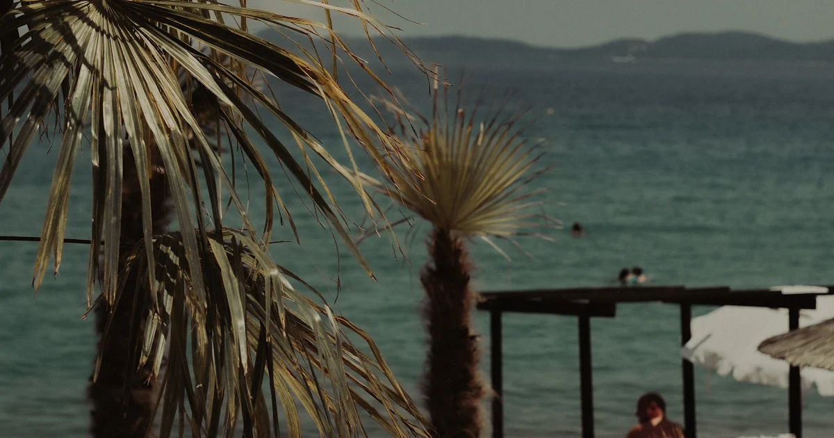 Corali Beach Bar photo 1