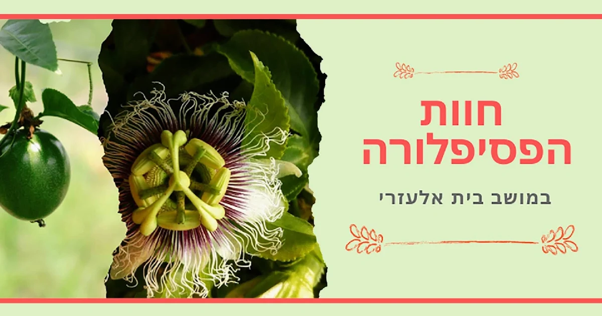 קטיף עצמי עגבניות שרי - חוות הפסיפלורה בית אלעזרי photo 1