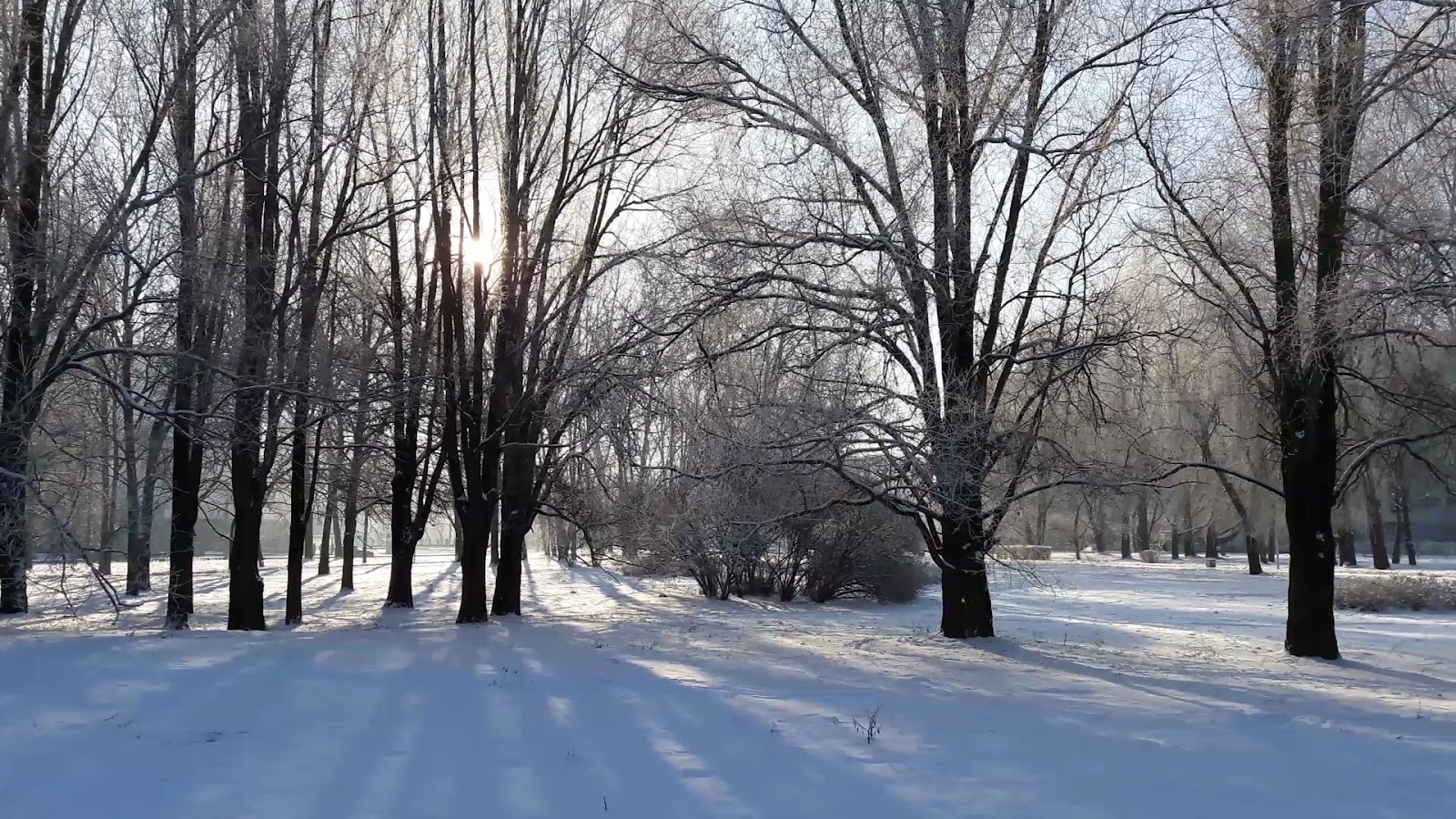 Парк Дружбы народов photo 3