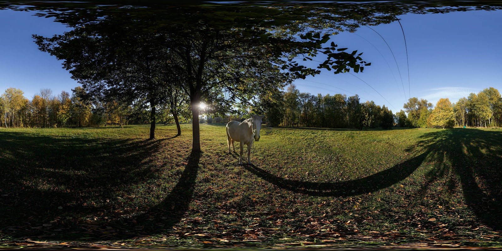 Sievastopaĺski Park photo 6