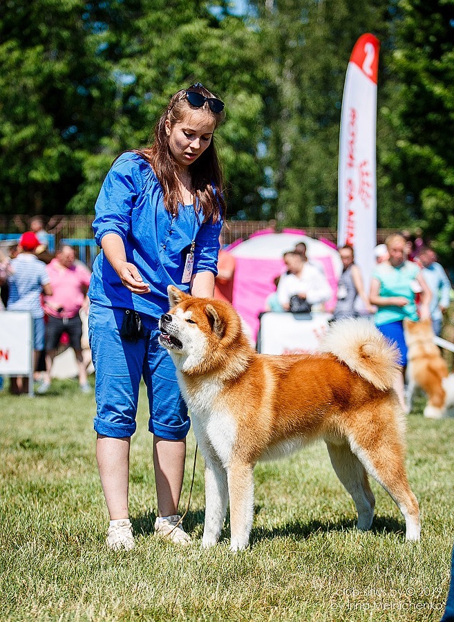 Sievastopaĺski Park photo 10
