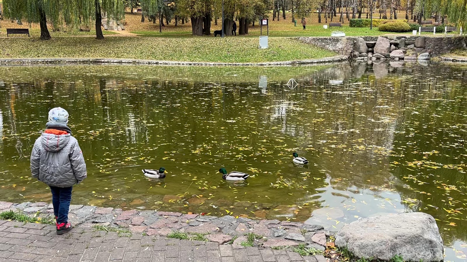 Park 60-hoddzia Kastryčnіka photo 4