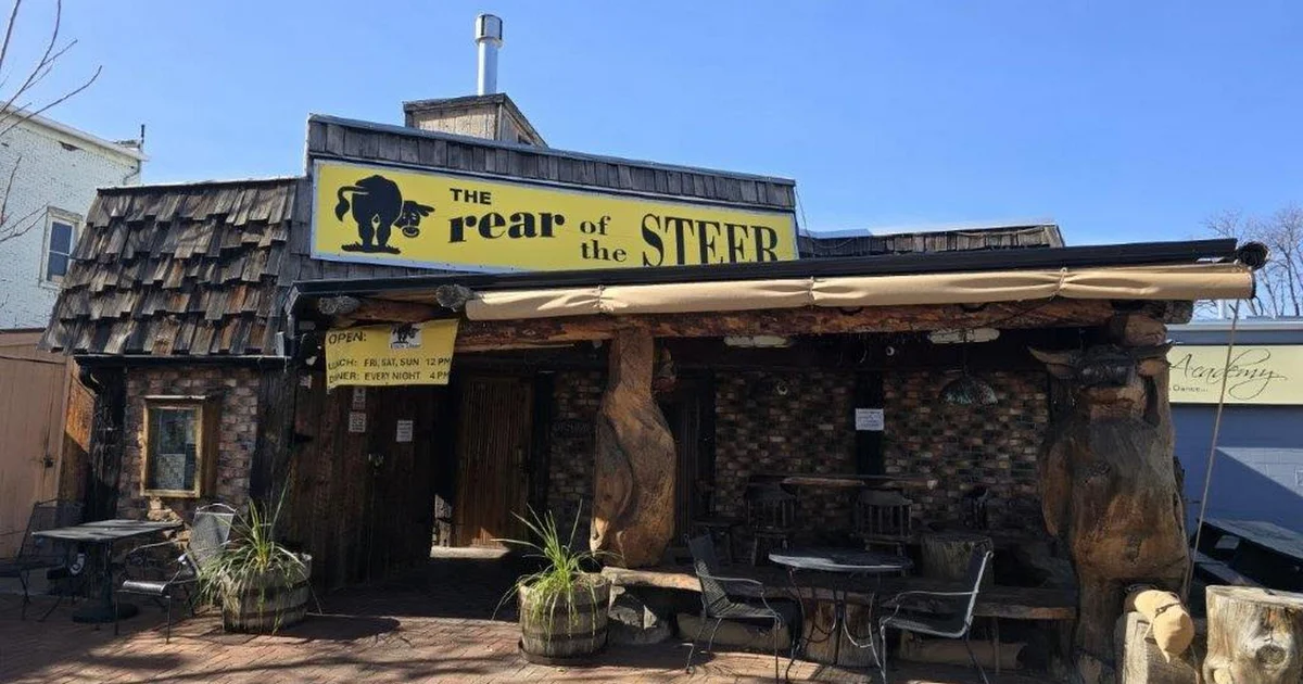 Black Steer photo 1