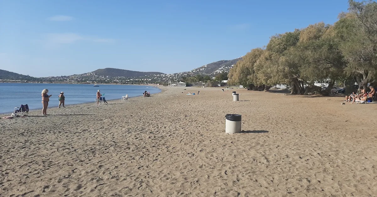 Paralia Paleas Fokeas photo 1