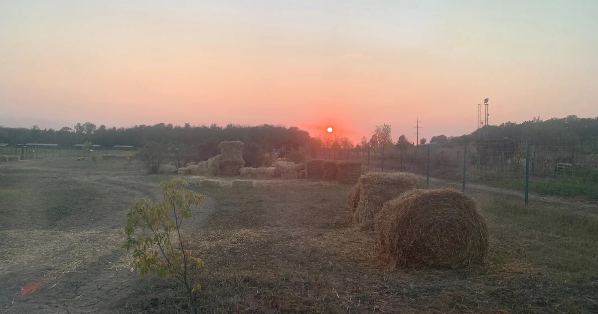Долина Альпак photo 1