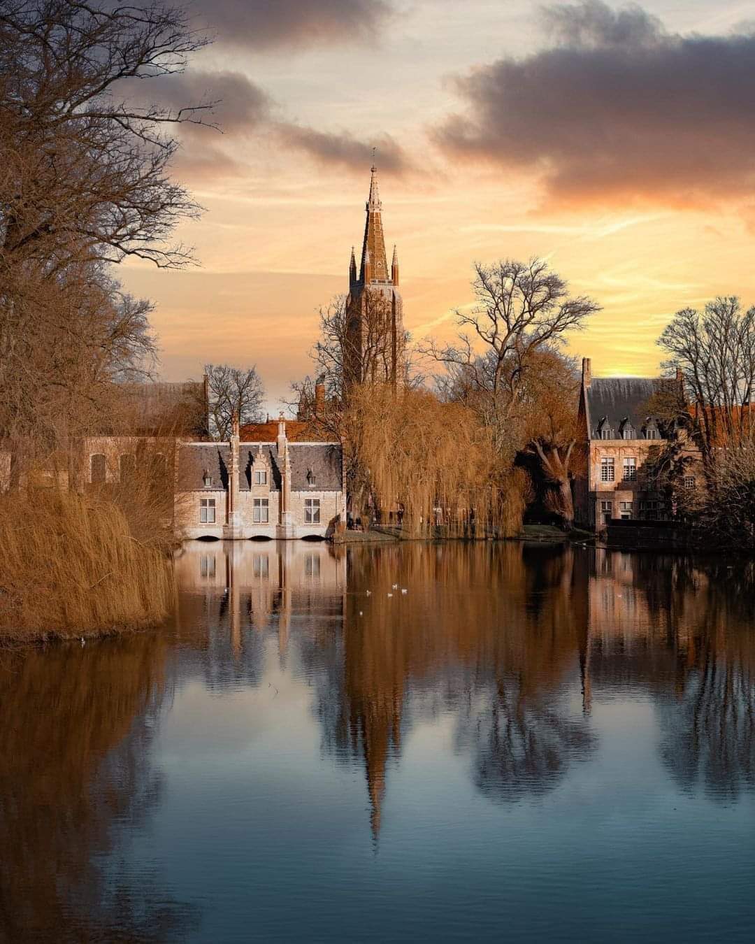 Brugge photo 7