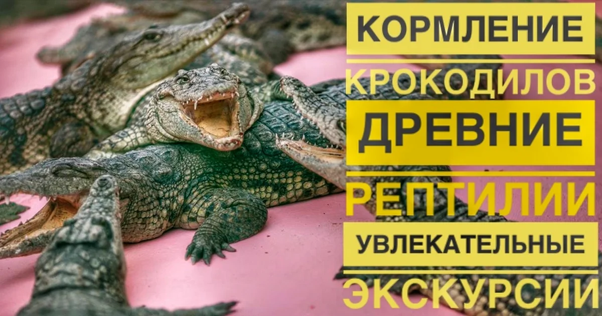 Krokodilovaya Ferma photo 1